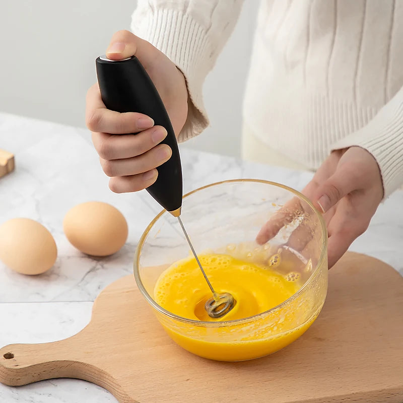 HANDHELD MINI WHISK